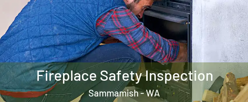  Fireplace Safety Inspection Sammamish - WA