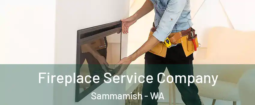 Fireplace Service Company Sammamish - WA