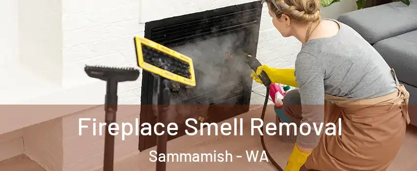  Fireplace Smell Removal Sammamish - WA