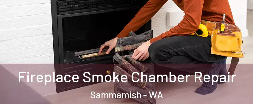  Fireplace Smoke Chamber Repair Sammamish - WA