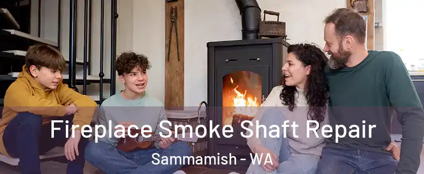  Fireplace Smoke Shaft Repair Sammamish - WA
