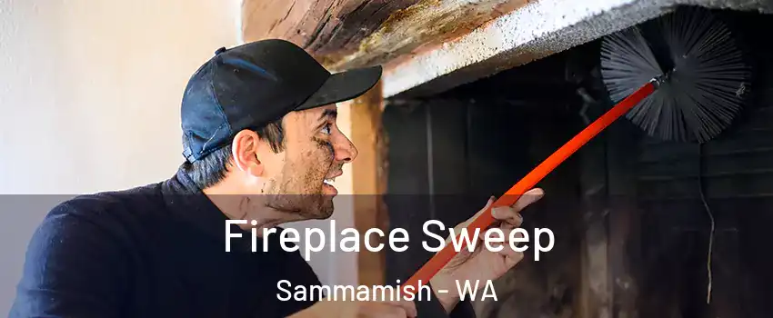  Fireplace Sweep Sammamish - WA