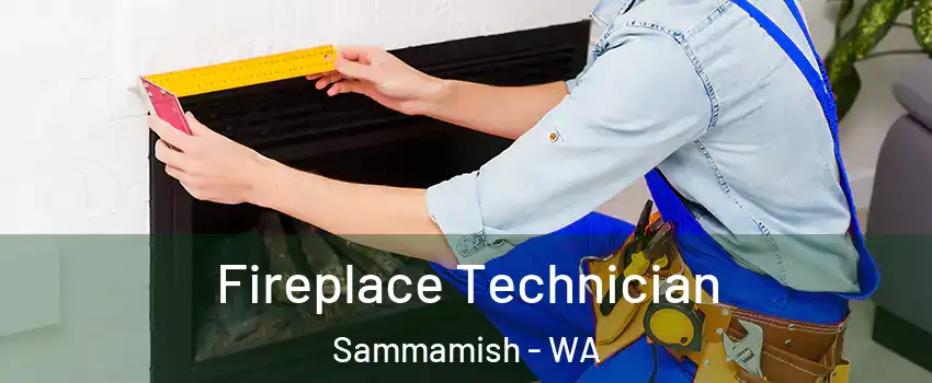Fireplace Technician Sammamish - WA