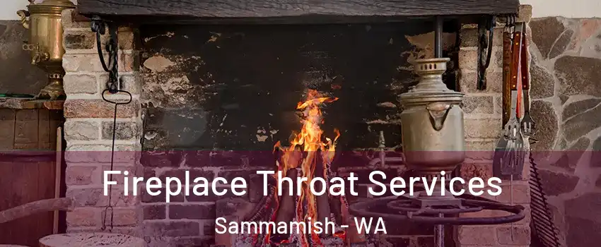  Fireplace Throat Services Sammamish - WA