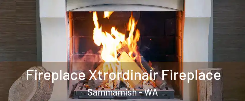  Fireplace Xtrordinair Fireplace Sammamish - WA
