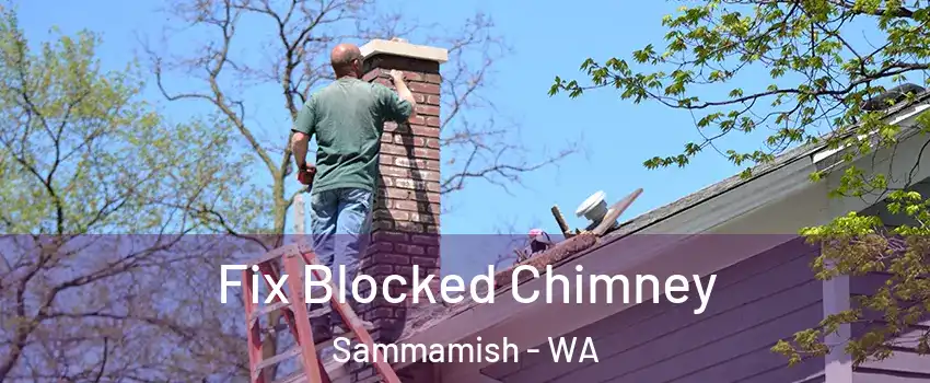  Fix Blocked Chimney Sammamish - WA