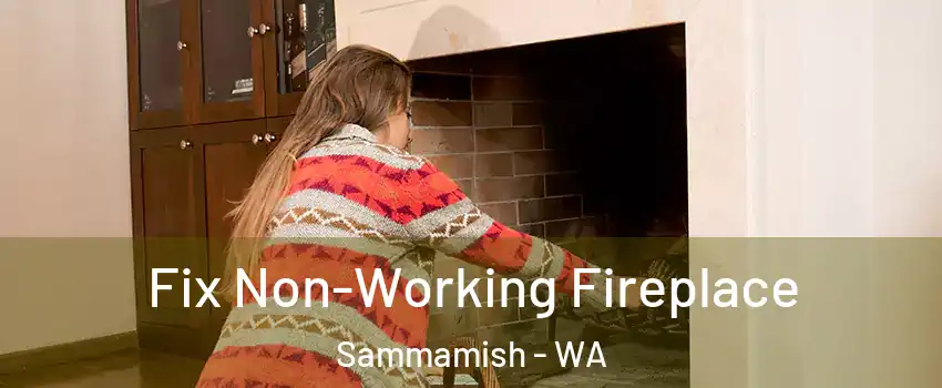  Fix Non-Working Fireplace Sammamish - WA