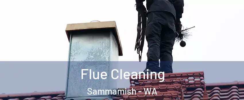  Flue Cleaning Sammamish - WA