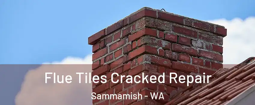  Flue Tiles Cracked Repair Sammamish - WA