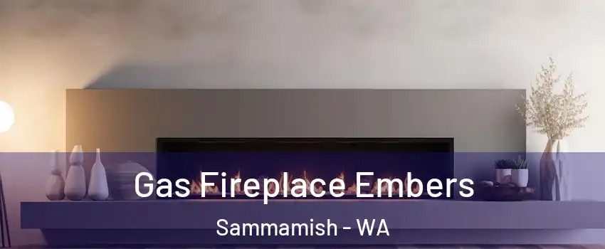  Gas Fireplace Embers Sammamish - WA