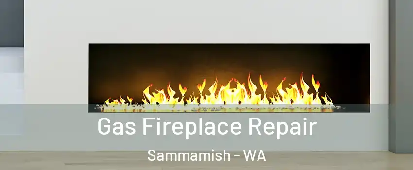  Gas Fireplace Repair Sammamish - WA