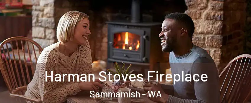  Harman Stoves Fireplace Sammamish - WA