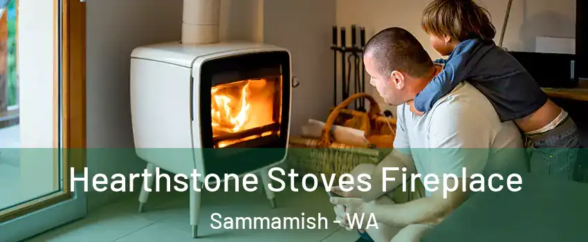  Hearthstone Stoves Fireplace Sammamish - WA