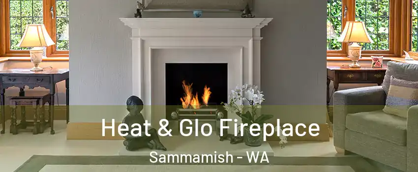  Heat & Glo Fireplace Sammamish - WA