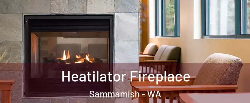  Heatilator Fireplace Sammamish - WA