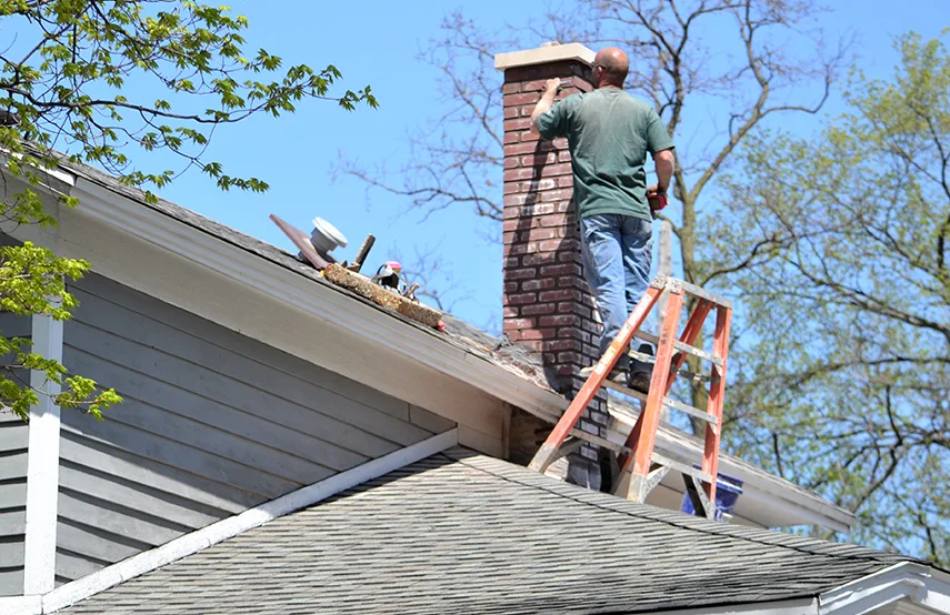 Chimney & Fireplace Inspections Services in Sammamish, WA