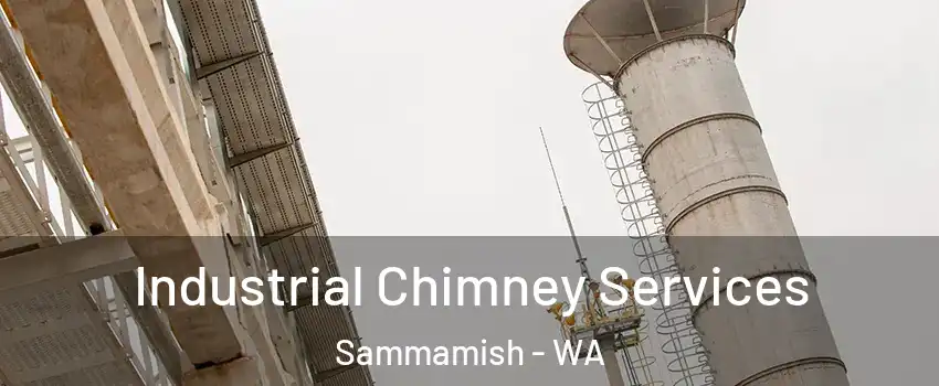  Industrial Chimney Services Sammamish - WA