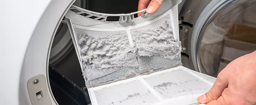Best Dryer Lint Removal Company in Sammamish, Washington