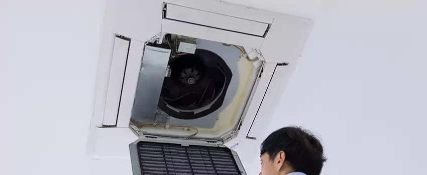 Benefits of Professional Air Duct Cleaning in Sammamish, Washington
