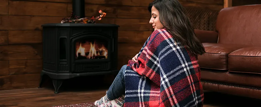 Fireplace Firebox Grate Replacement Services  in Sammamish, Washington