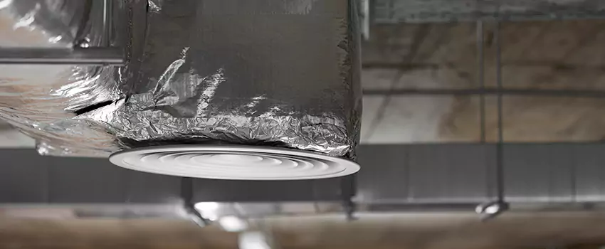 Signs of Dust Accumulation in Vents in Sammamish, WA