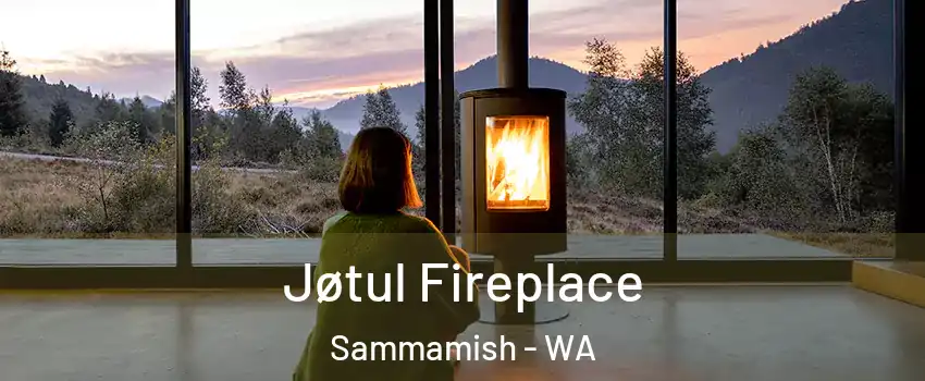  Jøtul Fireplace Sammamish - WA