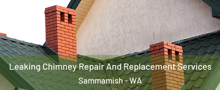  Leaking Chimney Repair And Replacement Services Sammamish - WA