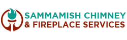 Fireplace And Chimney Services in Sammamish