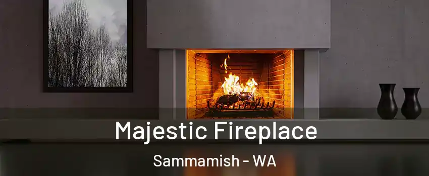  Majestic Fireplace Sammamish - WA