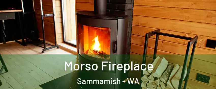  Morso Fireplace Sammamish - WA