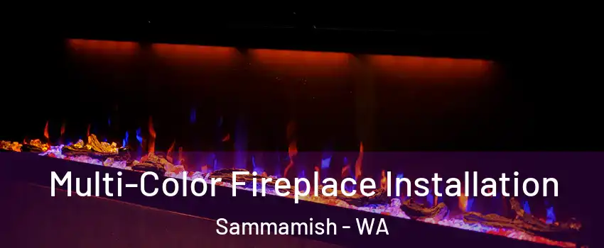  Multi-Color Fireplace Installation Sammamish - WA