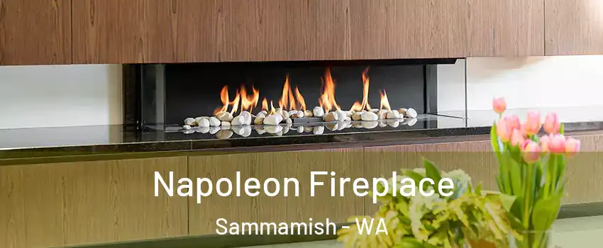  Napoleon Fireplace Sammamish - WA
