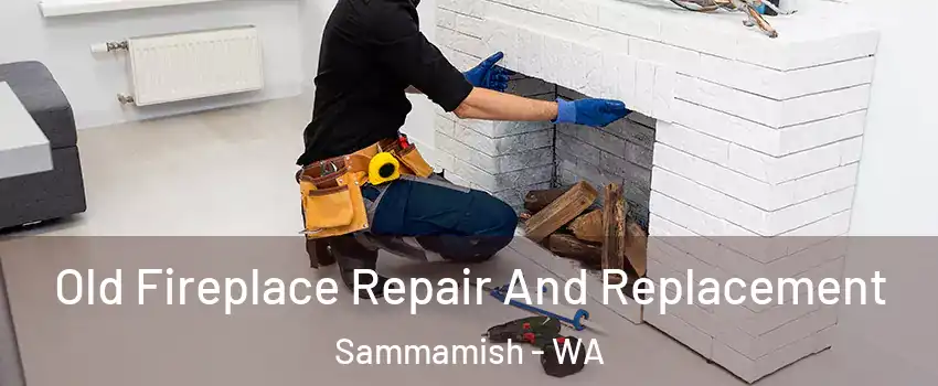  Old Fireplace Repair And Replacement Sammamish - WA