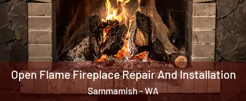  Open Flame Fireplace Repair And Installation Sammamish - WA