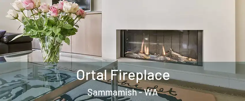 Ortal Fireplace Sammamish - WA