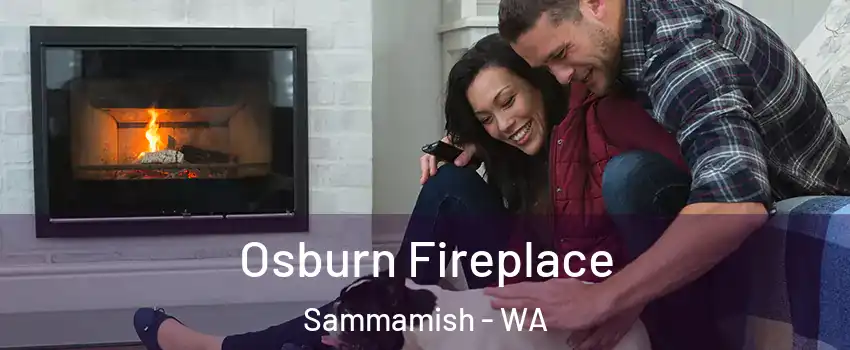  Osburn Fireplace Sammamish - WA