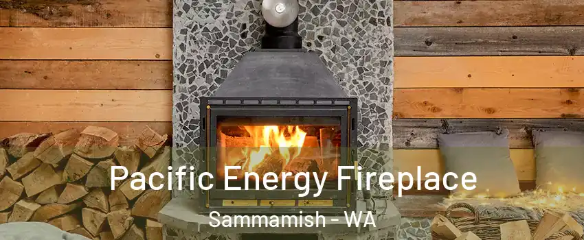  Pacific Energy Fireplace Sammamish - WA
