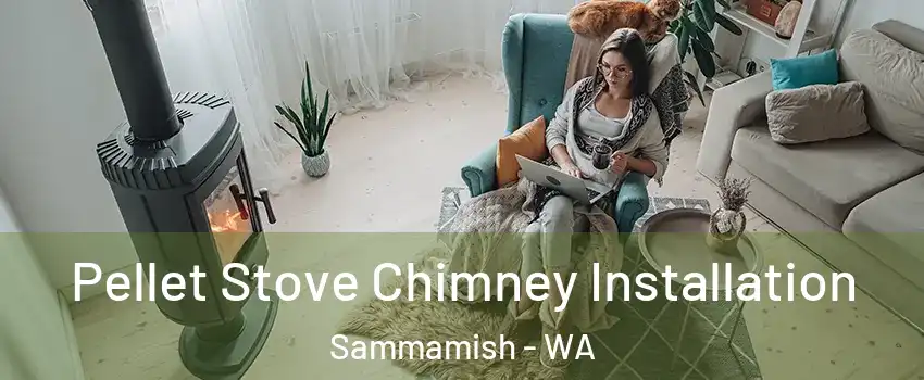  Pellet Stove Chimney Installation Sammamish - WA
