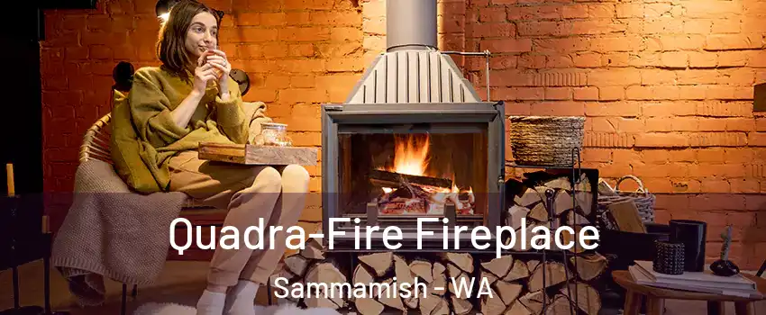  Quadra-Fire Fireplace Sammamish - WA