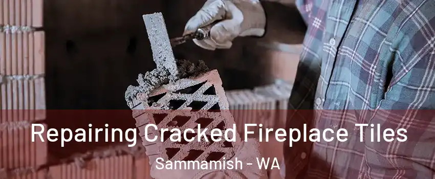  Repairing Cracked Fireplace Tiles Sammamish - WA