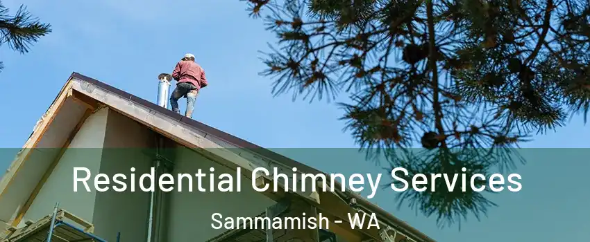  Residential Chimney Services Sammamish - WA