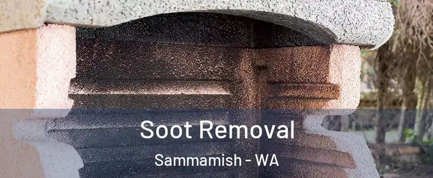  Soot Removal Sammamish - WA
