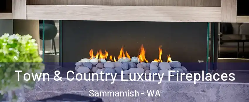  Town & Country Luxury Fireplaces Sammamish - WA