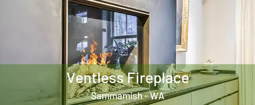  Ventless Fireplace Sammamish - WA