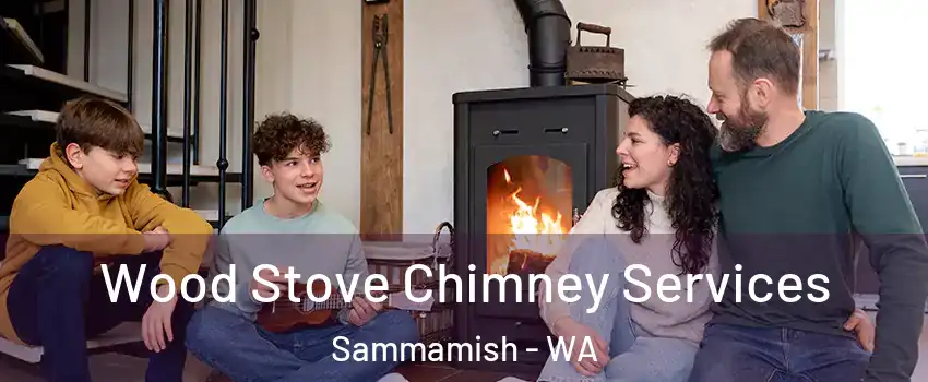  Wood Stove Chimney Services Sammamish - WA