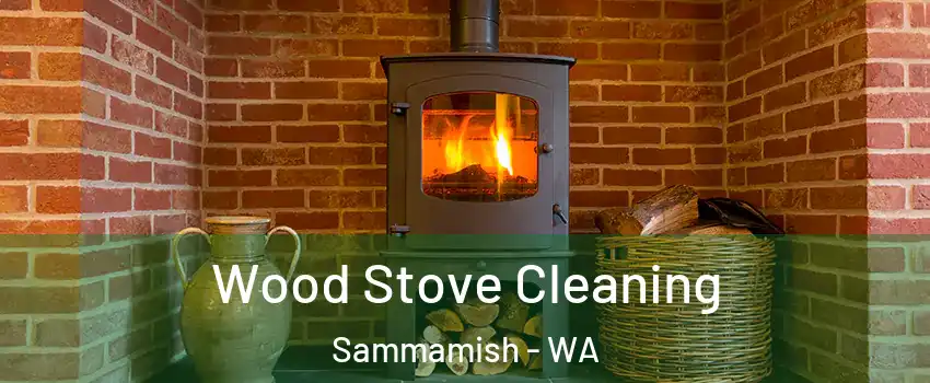  Wood Stove Cleaning Sammamish - WA